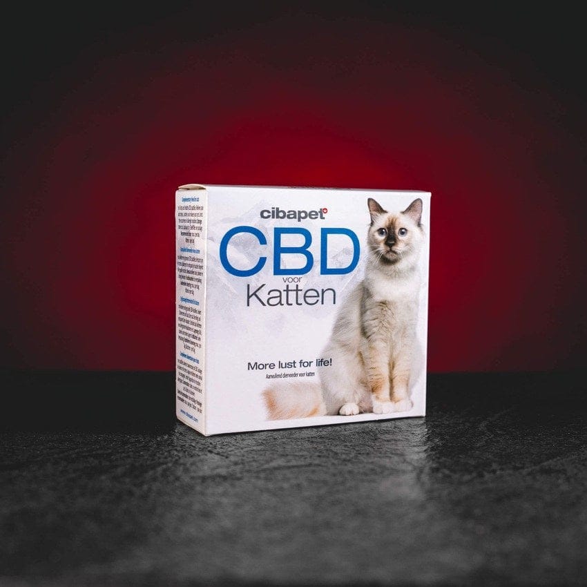 CBD pasztillák macskák számára CBD pasztillák macskák számára enyhe CBD-tartalommal, természetes étrend-kiegészítő az egyensúly, nyugalom és egészséges szőrzet támogatására, könnyen adagolható ízesített pasztillák terpének nélkül, érzékeny macskák számára is alkalmas